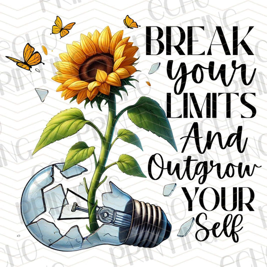 MHSM 79 - BREAK YOUR LIMITS