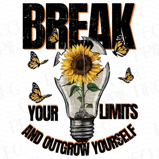 INMO 8 – BREAK YOUR LIMITS