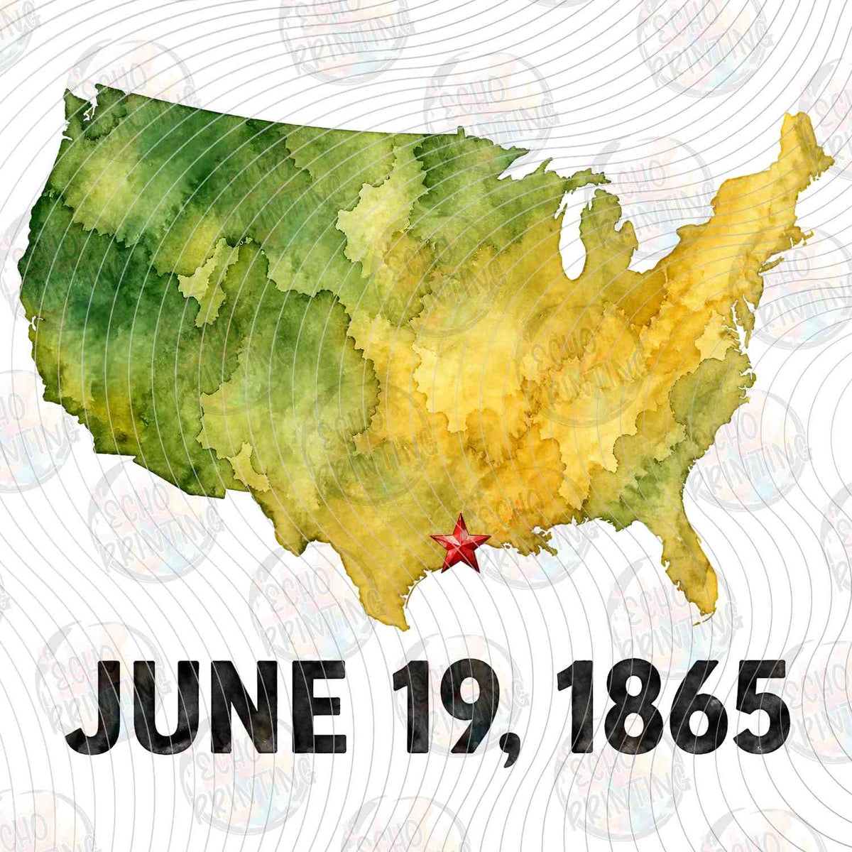 JNTHG 46 - USA MAP JUNE 19 1865
