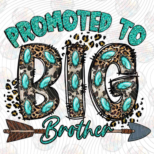 KDDG 213 - PROMOTED TO BIG BROTHER LEOPARD