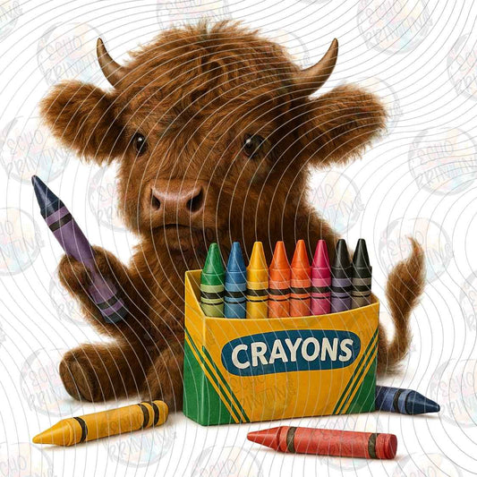 KDDG 255 - HIGHLAND COW CRAYON CLUB