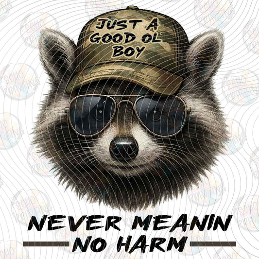 KDDG 261 - NEVER MEAN NO HARM