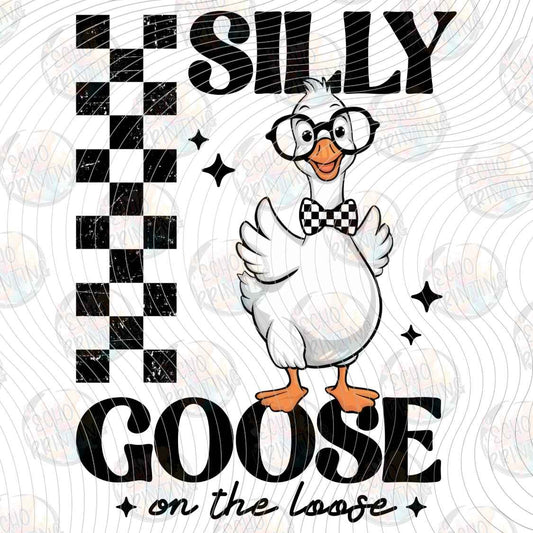 KDDG 262 - SILLY GOOSE ON THE LOOSE