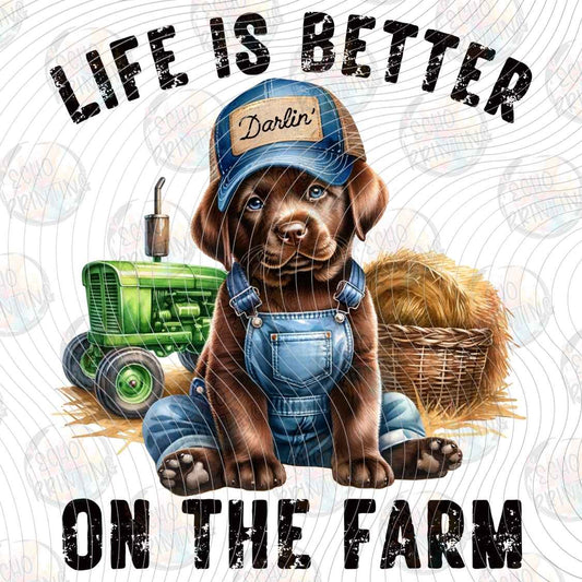KDDG 274 - FARM DOG COUNTRY LIFE