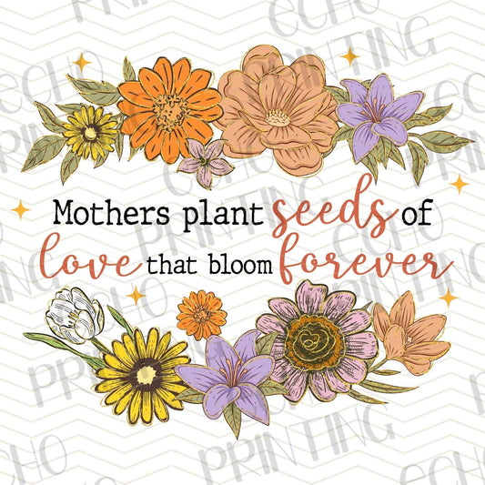 MGA 1 – MOTHERS PLANT SEEDS