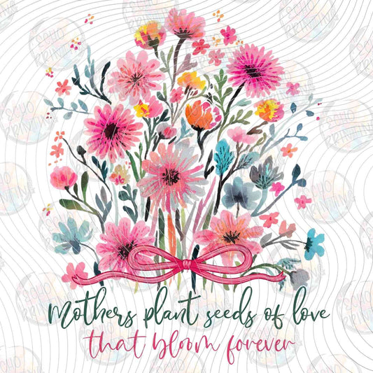 MGA 916 - MOTHERS PLANT SEEDS