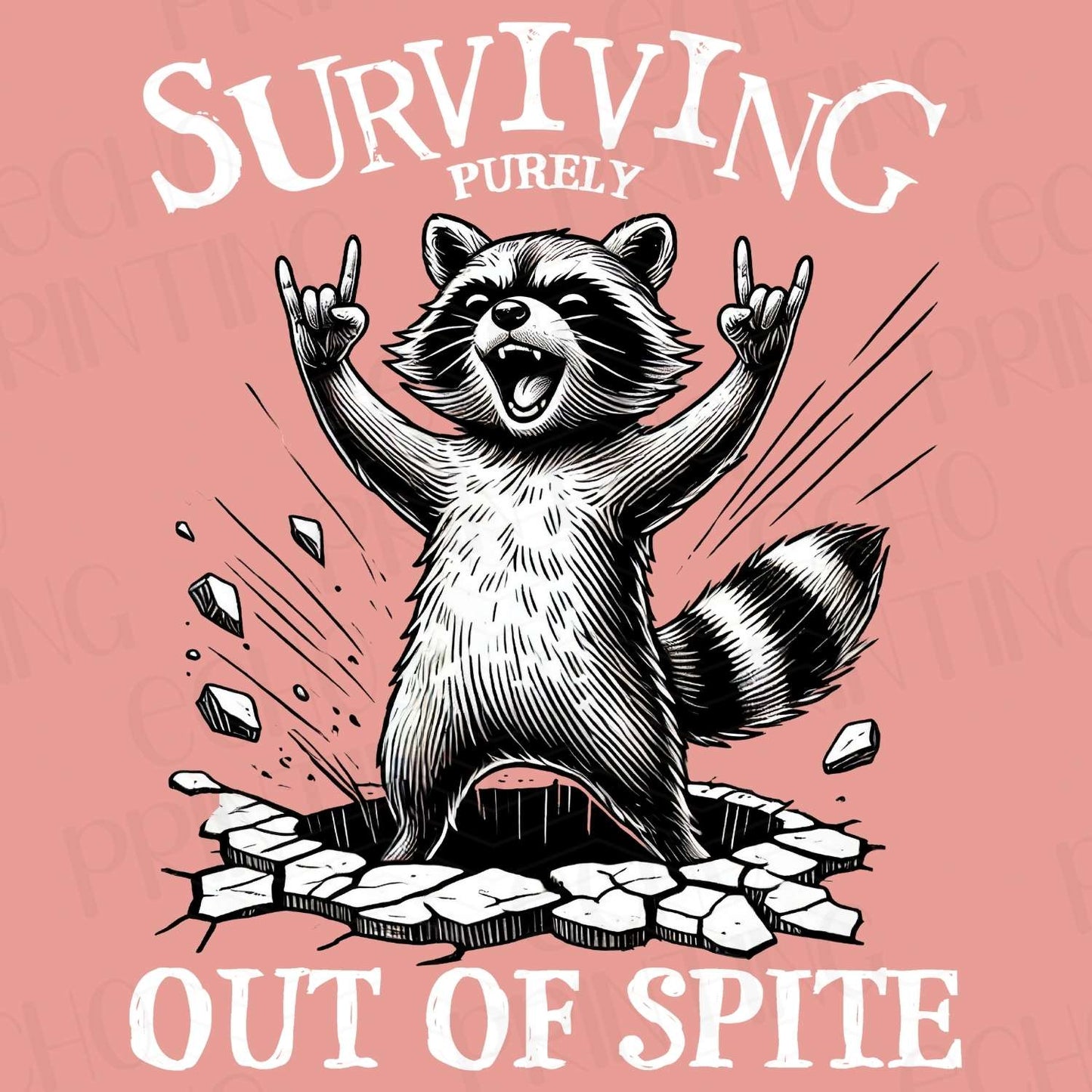 MHA 13 - SURVIVING OUT OF SPITE RACCOON WHITE