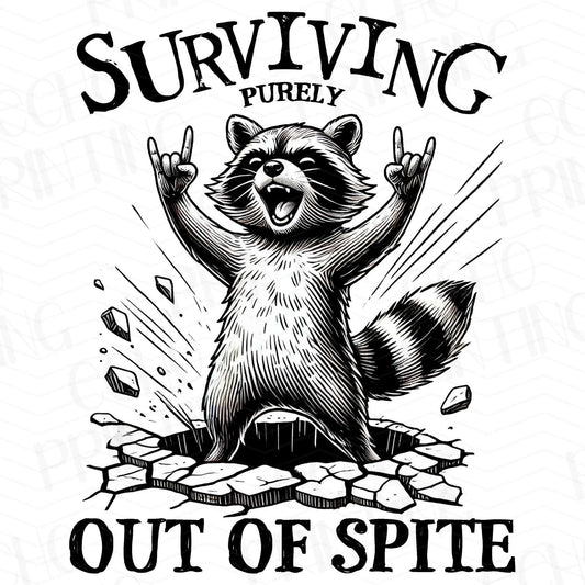 MHA 14 - SURVIVING OUT OF SPITE RACCOON BLACK