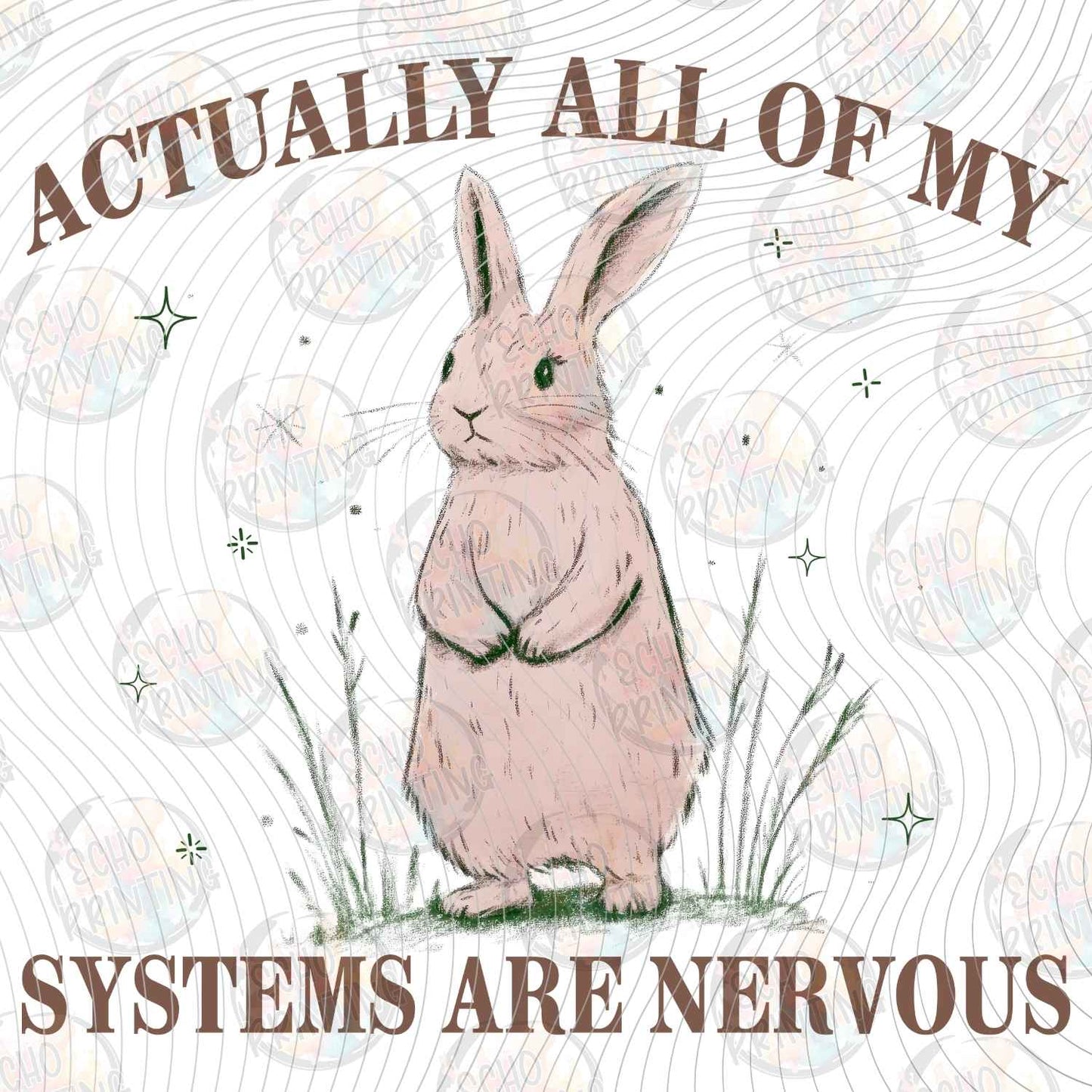 MHSM 506 - NERVOUS SYSTEMS BUNNY