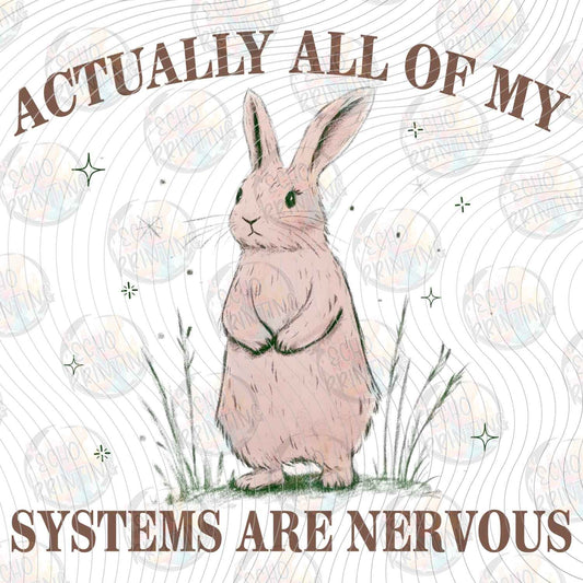 MHSM 506 - NERVOUS SYSTEMS BUNNY