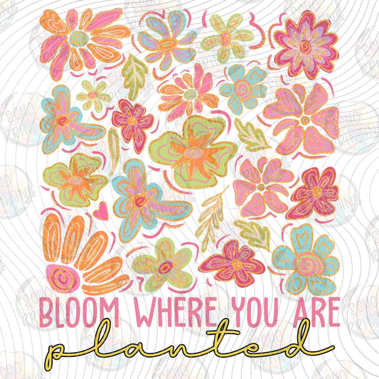 MHSM 509 - BLOOM WHERE YOU ARE