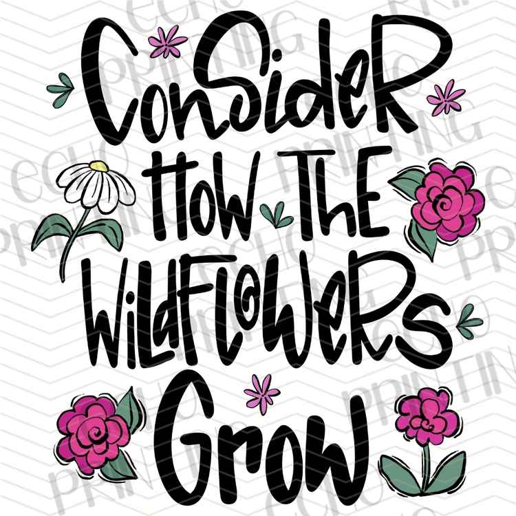 MHSM 621 - CONSIDER HOW WILDFLOWERS GROW