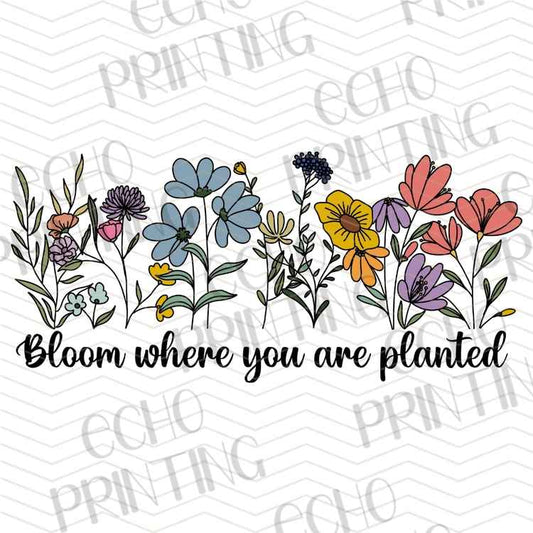 MHSM 625 - BLOOM WHERE YOU ARE