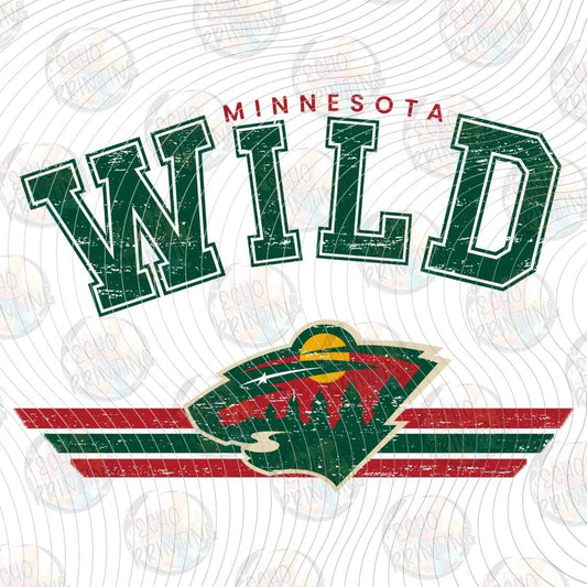 PHCKG 16 - MINNESOTA HOCKEY TEAM