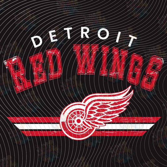 PHCKG 29 - DETROIT HOCKEY TEAM