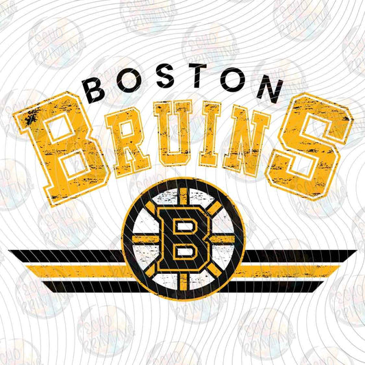 PHCKG 4 - BOSTON HOCKEY TEAM