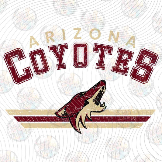 PHCKG 9 - ARIZONA HOCKEY TEAM