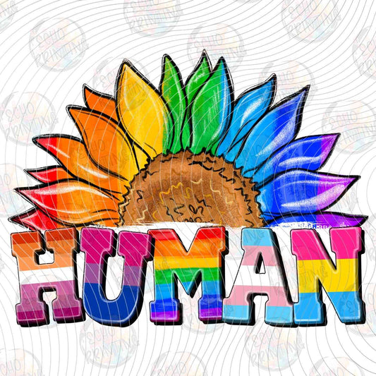 PRDG 41 - HUMAN RAINBOW SUNFLOWER