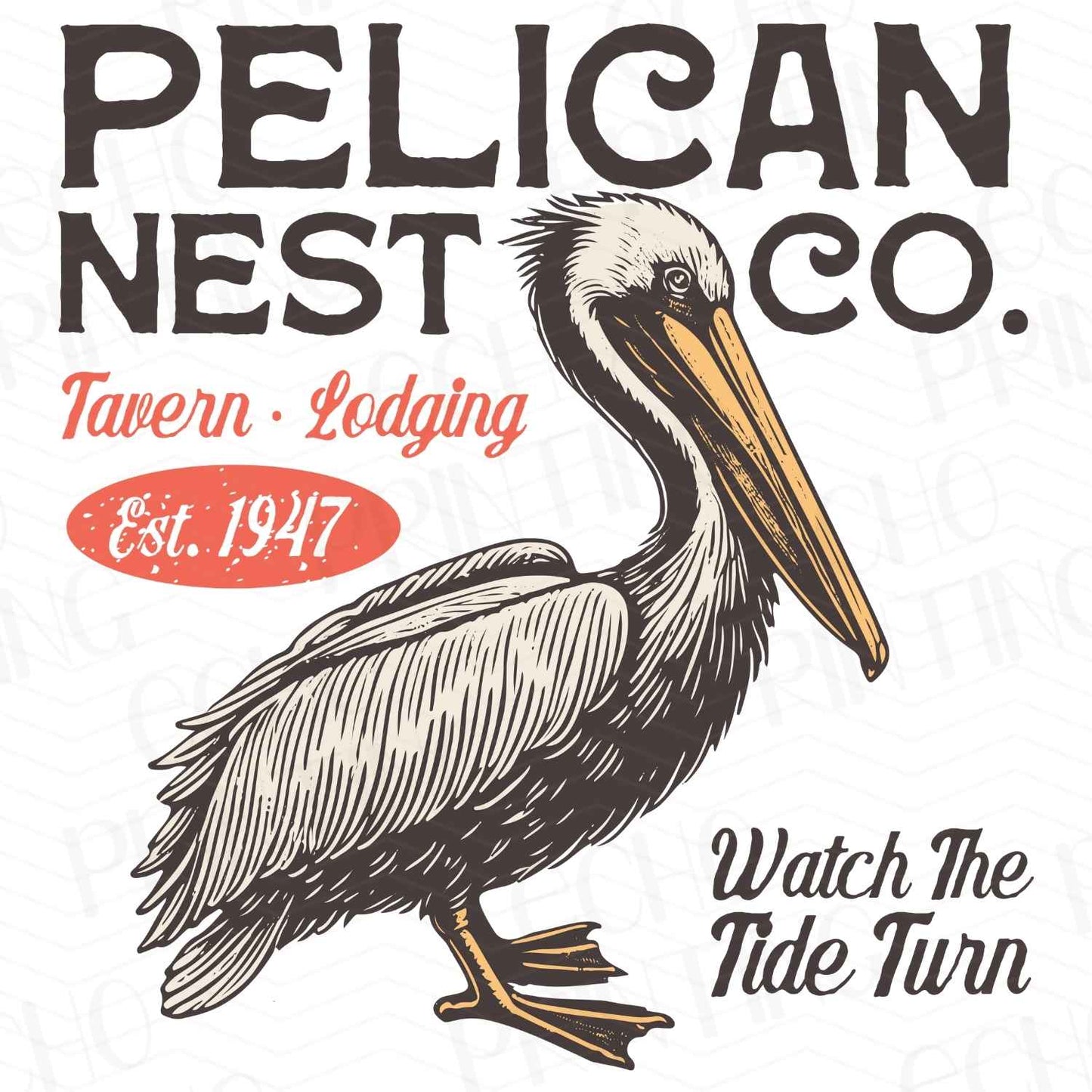 SMRG 113 - PELICAN NESTING CO