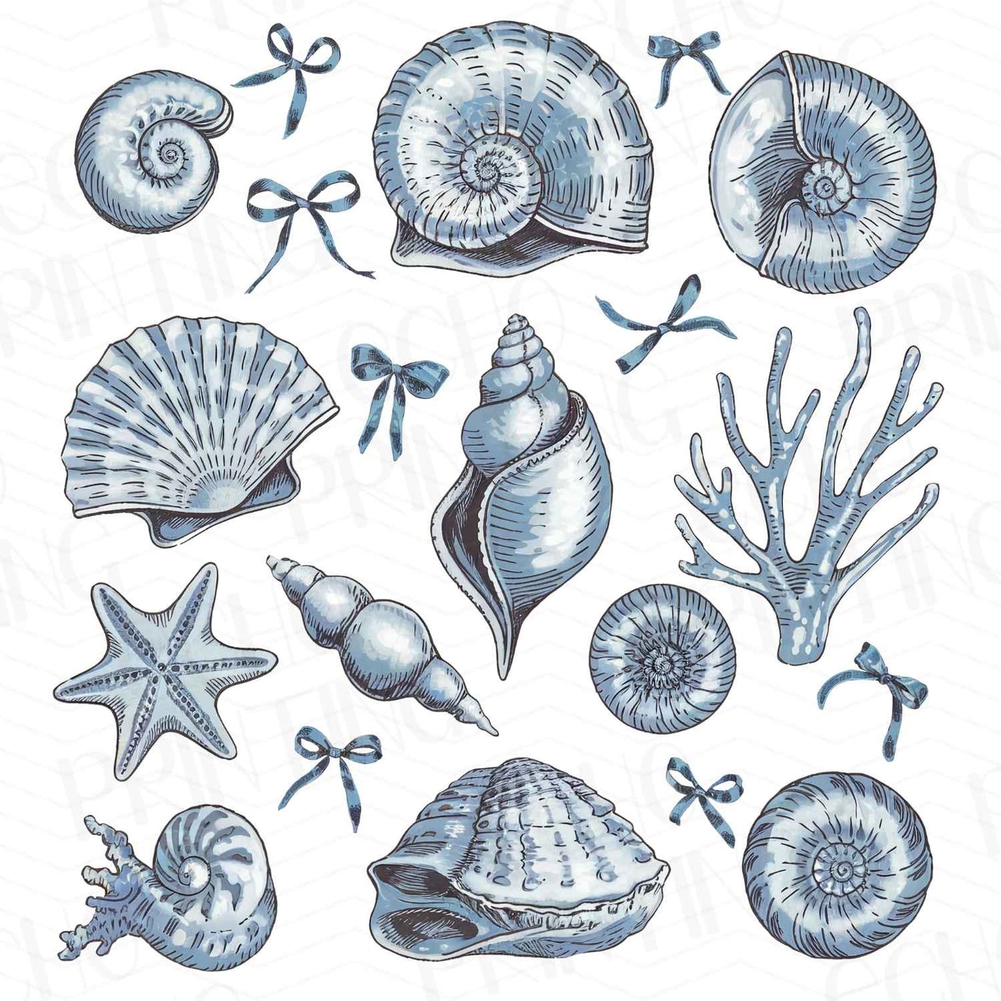 SMRG 122 - SEA LIFE SKETCHES