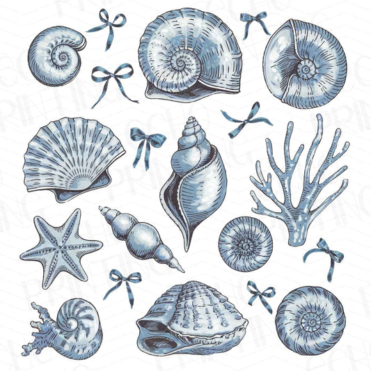 SMRG 122 - SEA LIFE SKETCHES