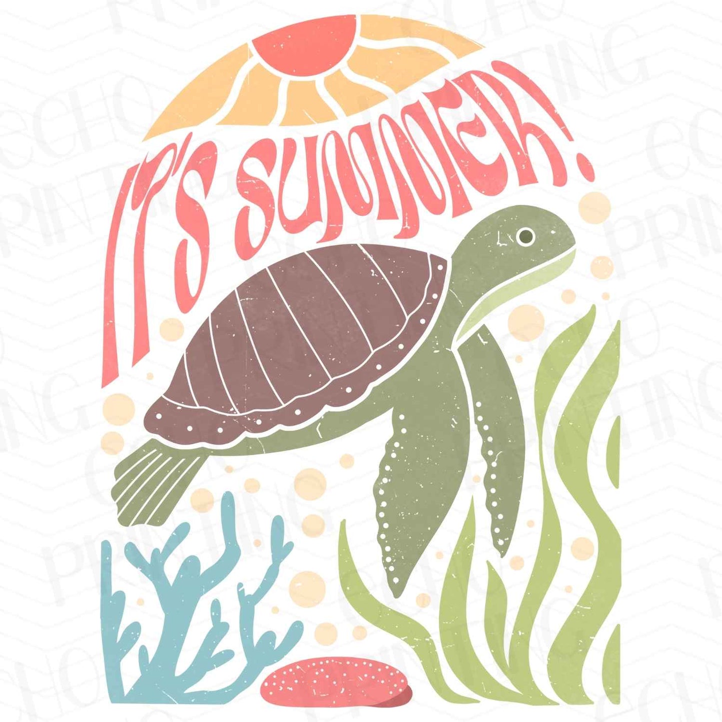 SMRG 141 - ITS SUMMER