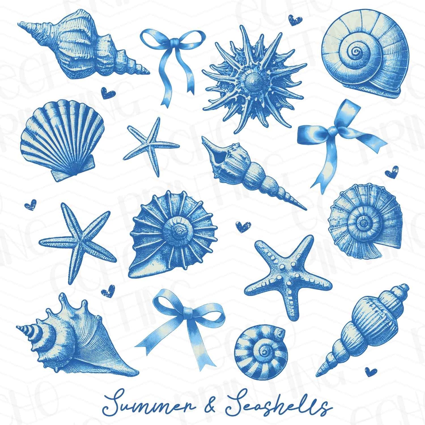 SMRG 224 - SEASHELLS