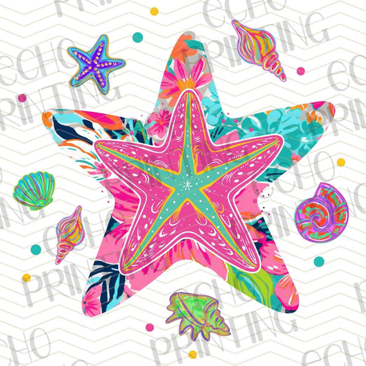 SMRG 243 - COLORFUL STARFISH