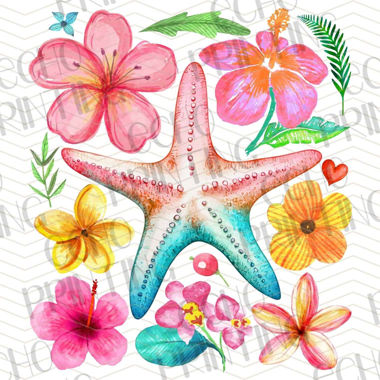 SMRG 325 - TROPICAL STARFISH
