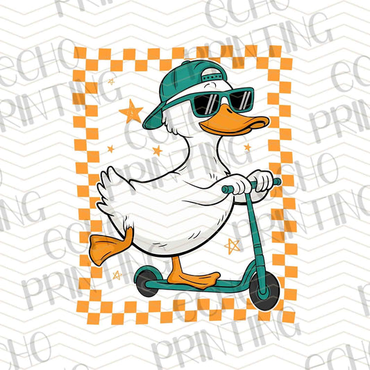SMRG 376 - SILLY GOOSE SCOOTER