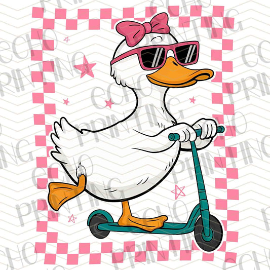 SMRG 377 - SILLY GOOSE SCOOTER