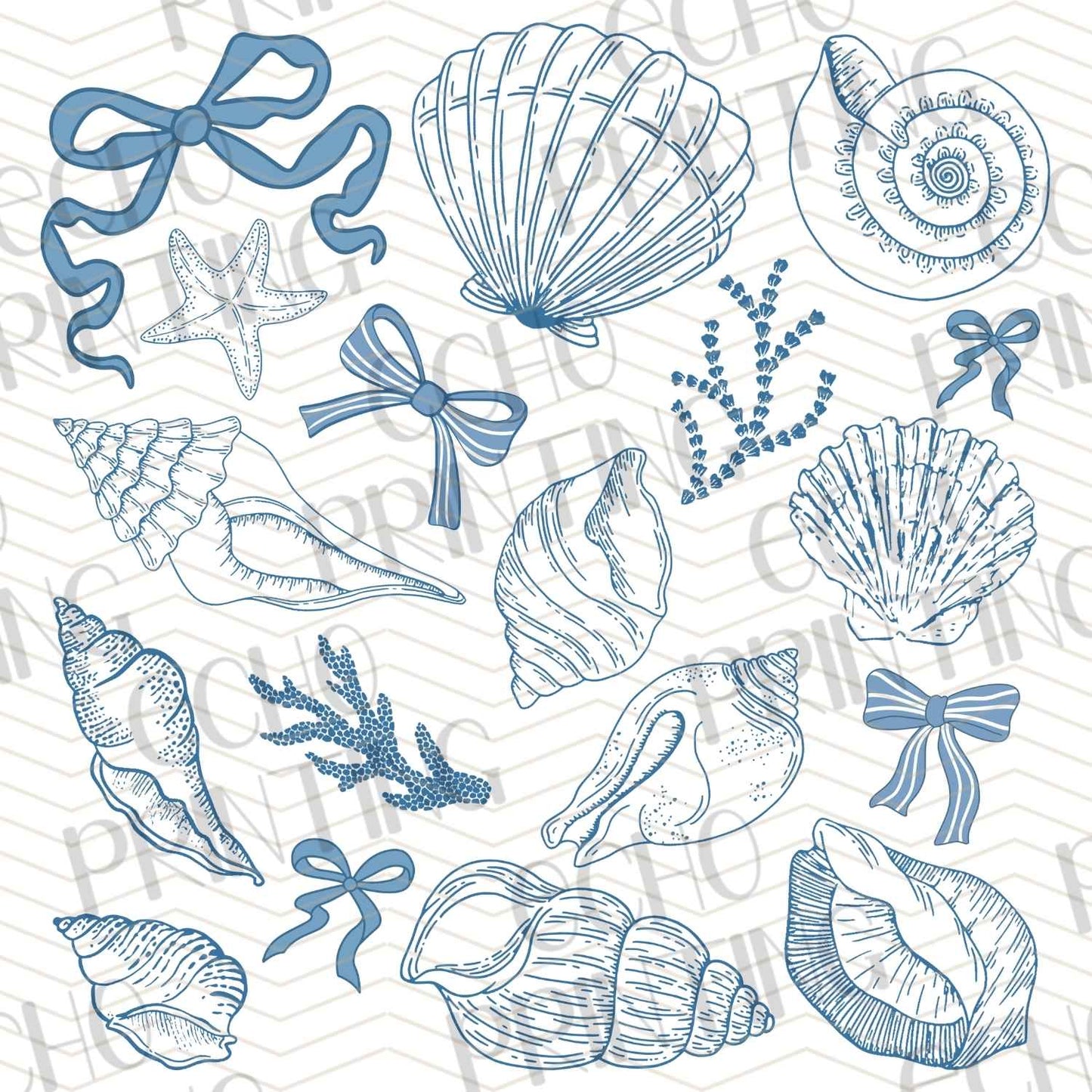 SMRG 415 - COASTAL SEA LIFE