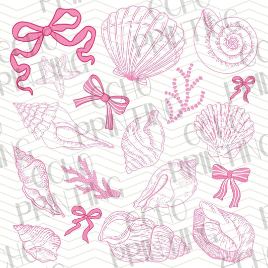 SMRG 416 - COASTAL SEA LIFE