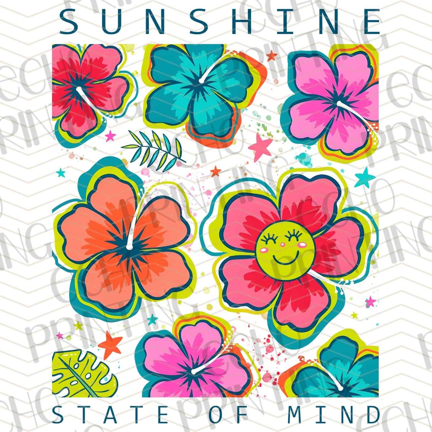 SMRG 417 - SUNSHINE STATE OF MIND