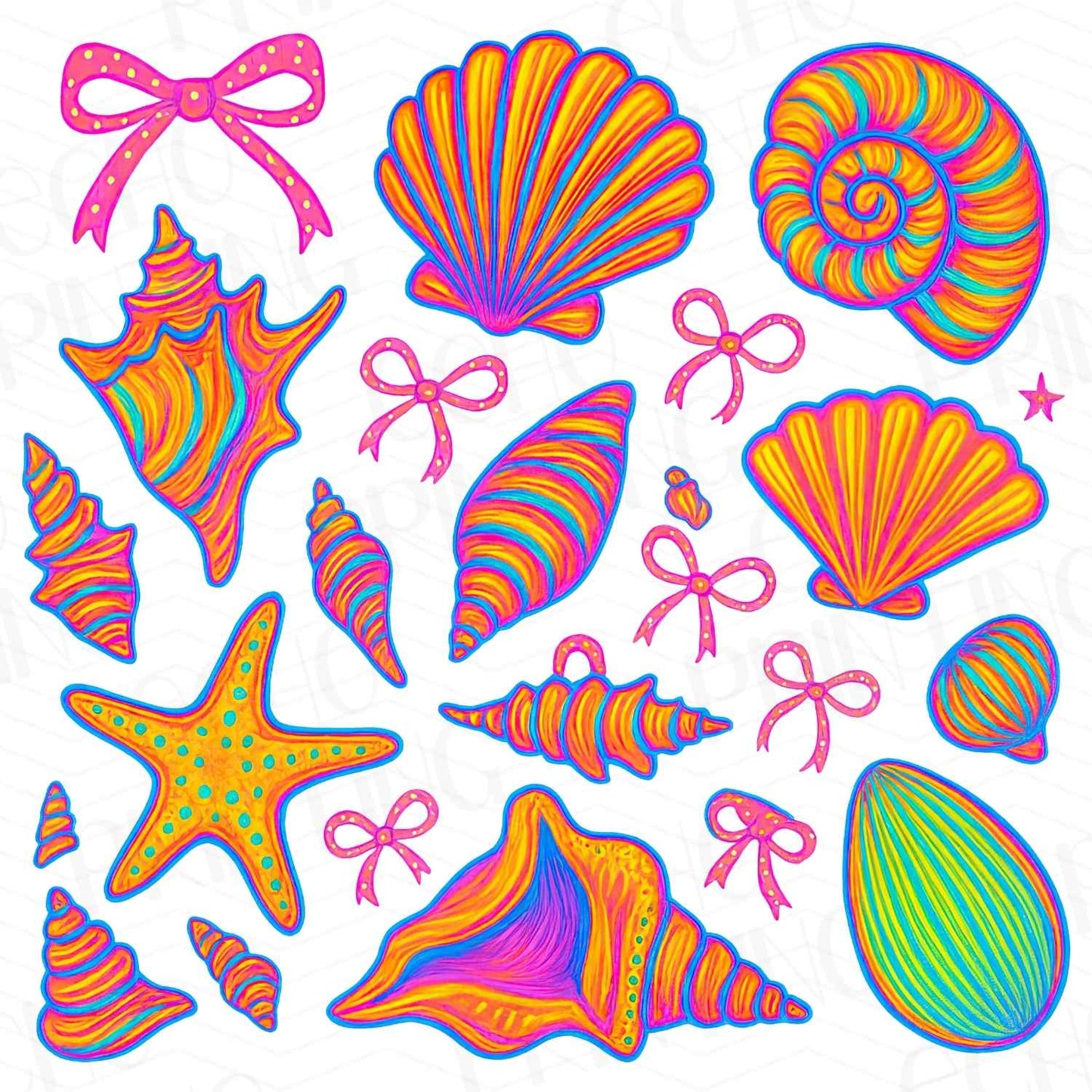 SMRG 60 - COLORFUL SEASHELLS