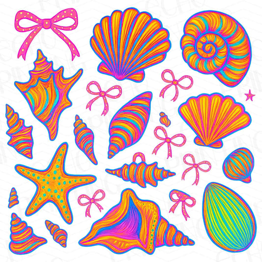 SMRG 60 - COLORFUL SEASHELLS