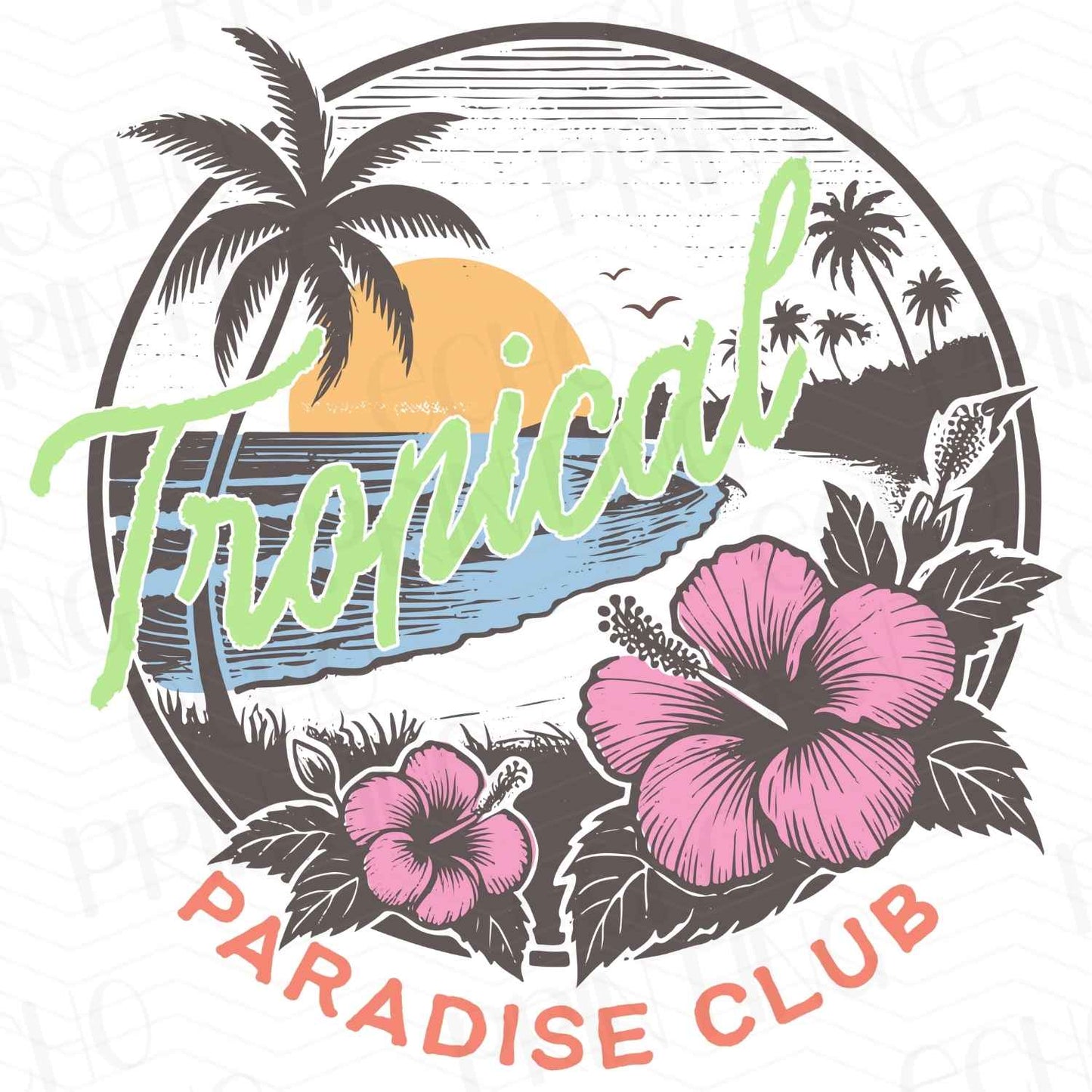 SMRG 81 - TROPICAL PARADISE CLUB
