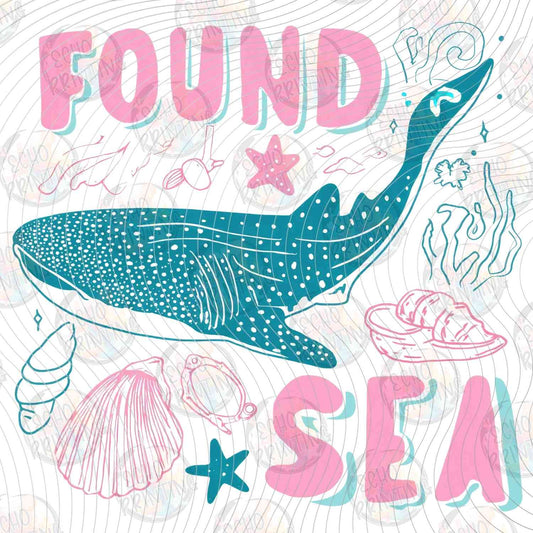 SMRG 841 - FOUND AT SEA BLUE WHALE