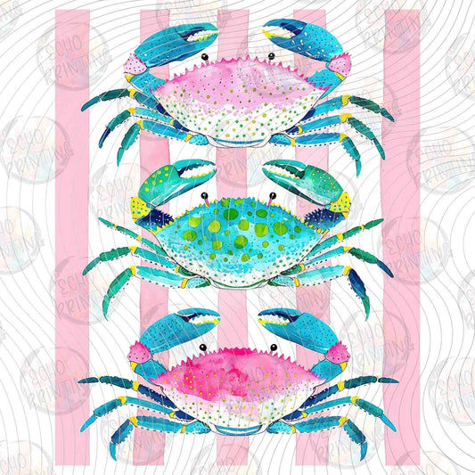 SMRG 983 - CRAB