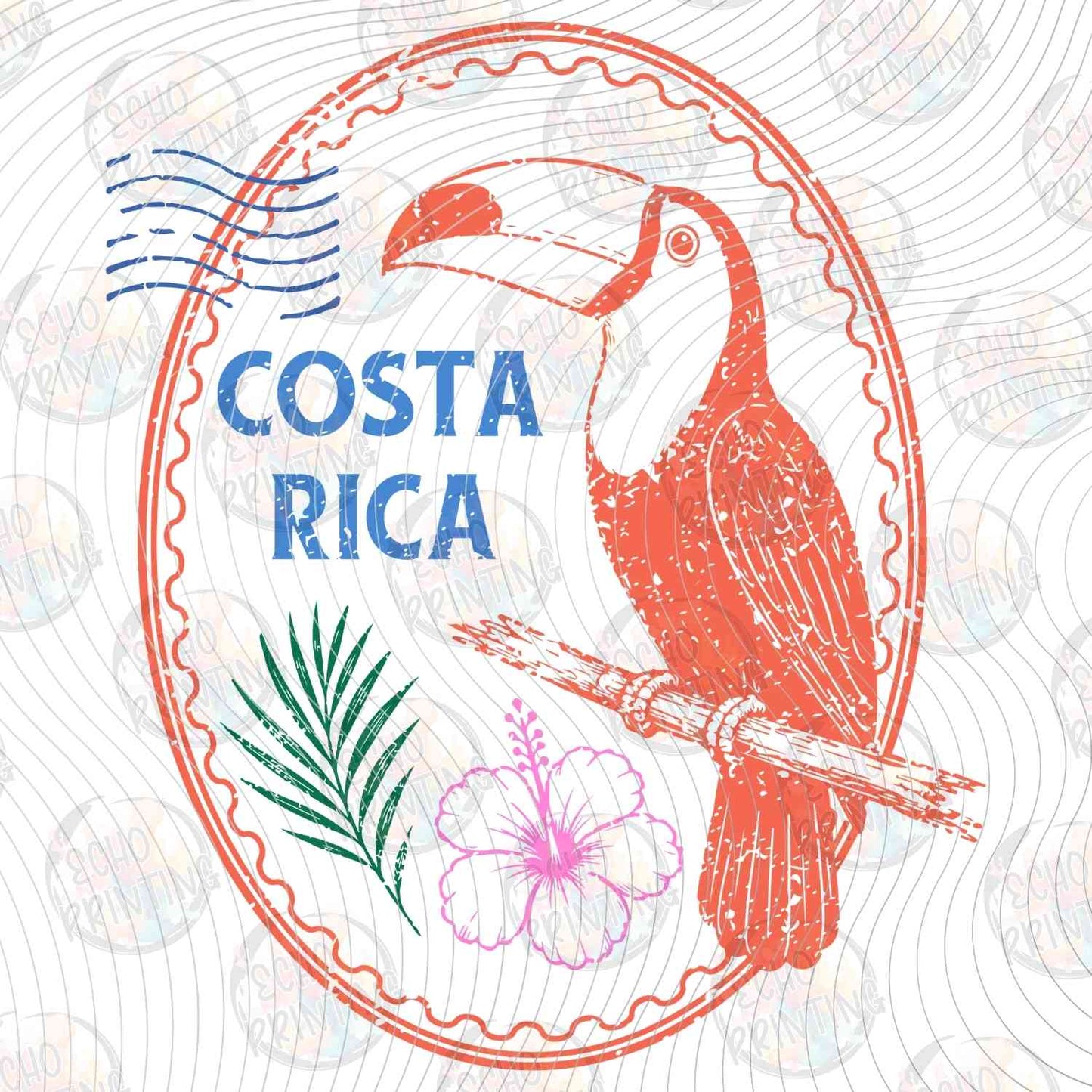 SMRG 994 - COSTA BIRD