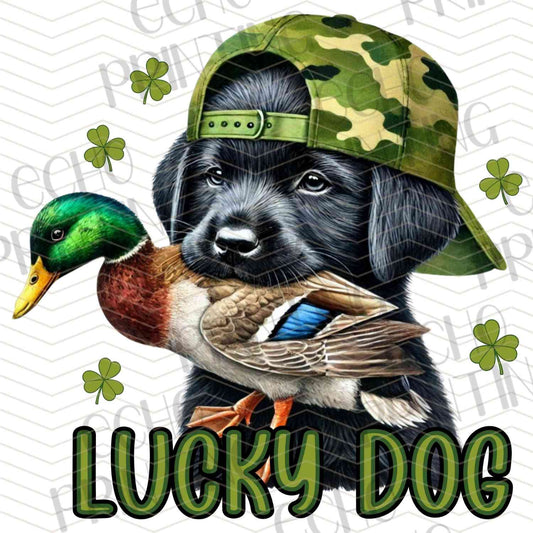 SPTKG 67 – LUCKY DOG STYLE