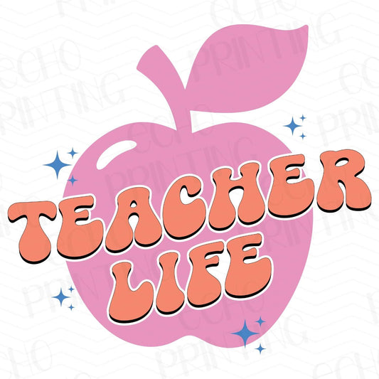 TCHR 104 – TEACHER LIFE