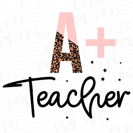 TCHR 132 – A PLUS TEACHER
