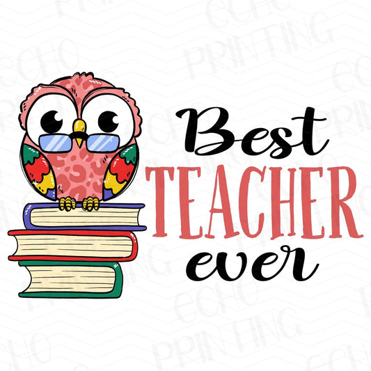 TCHR 17 – BEST TEACHER EVER OWL AND BOOKS