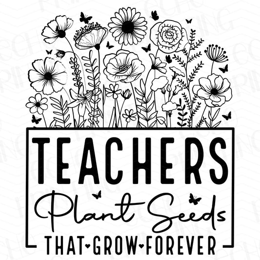 TCHR 170 – TEACHERS PLANT SEEDS