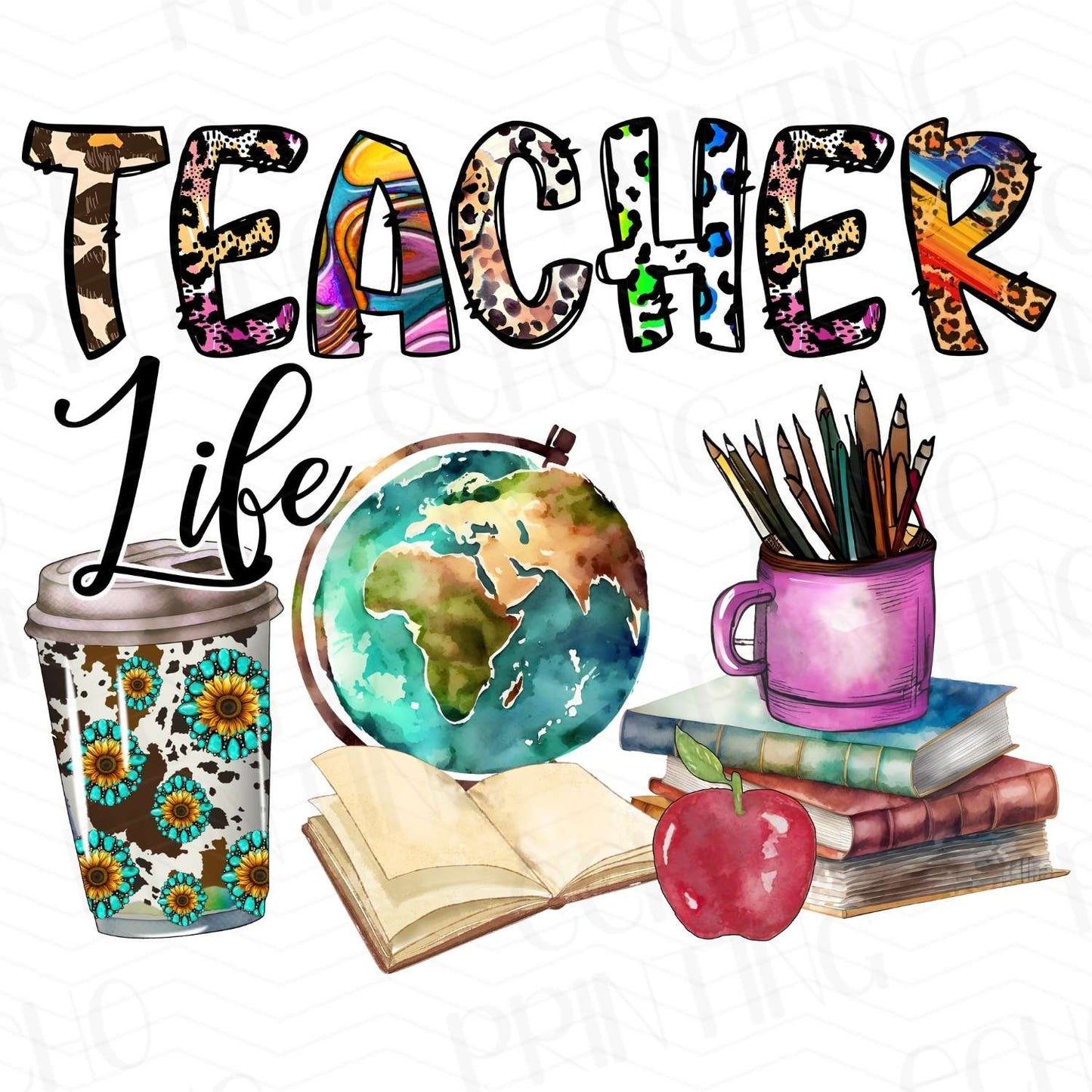 TCHR 201 – TEACHER LIFE