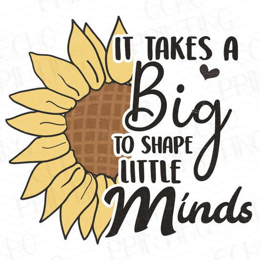 TCHR 31 – IT TAKES A BIG HEART TO SHAPE LITTLE MINDS