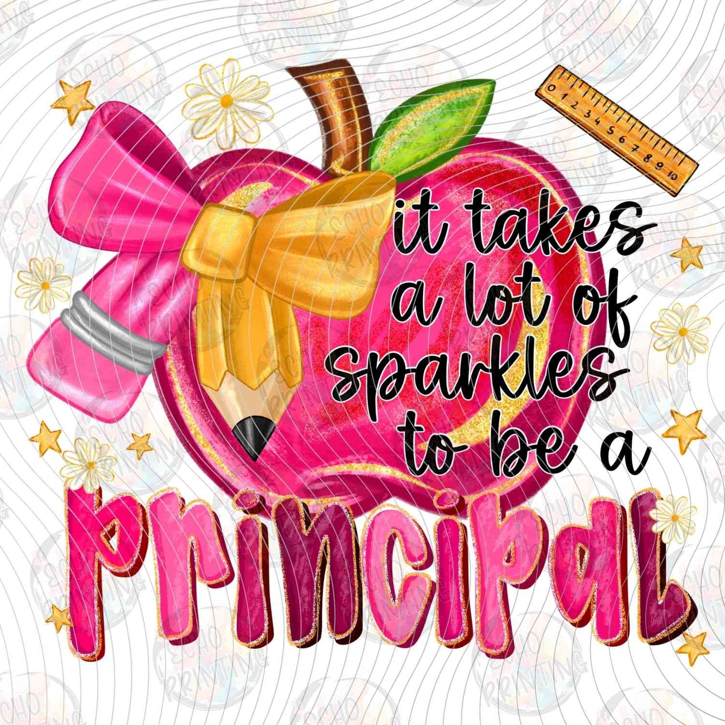 TCHR 456 - IT TAKES A LOT OF SPARKLE TO BE A PRINCIPAL