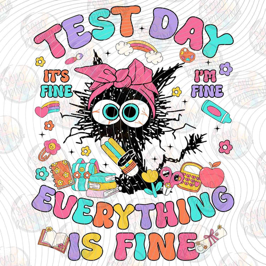 TSDG 20 - EVERYTHING IS FINE CAT