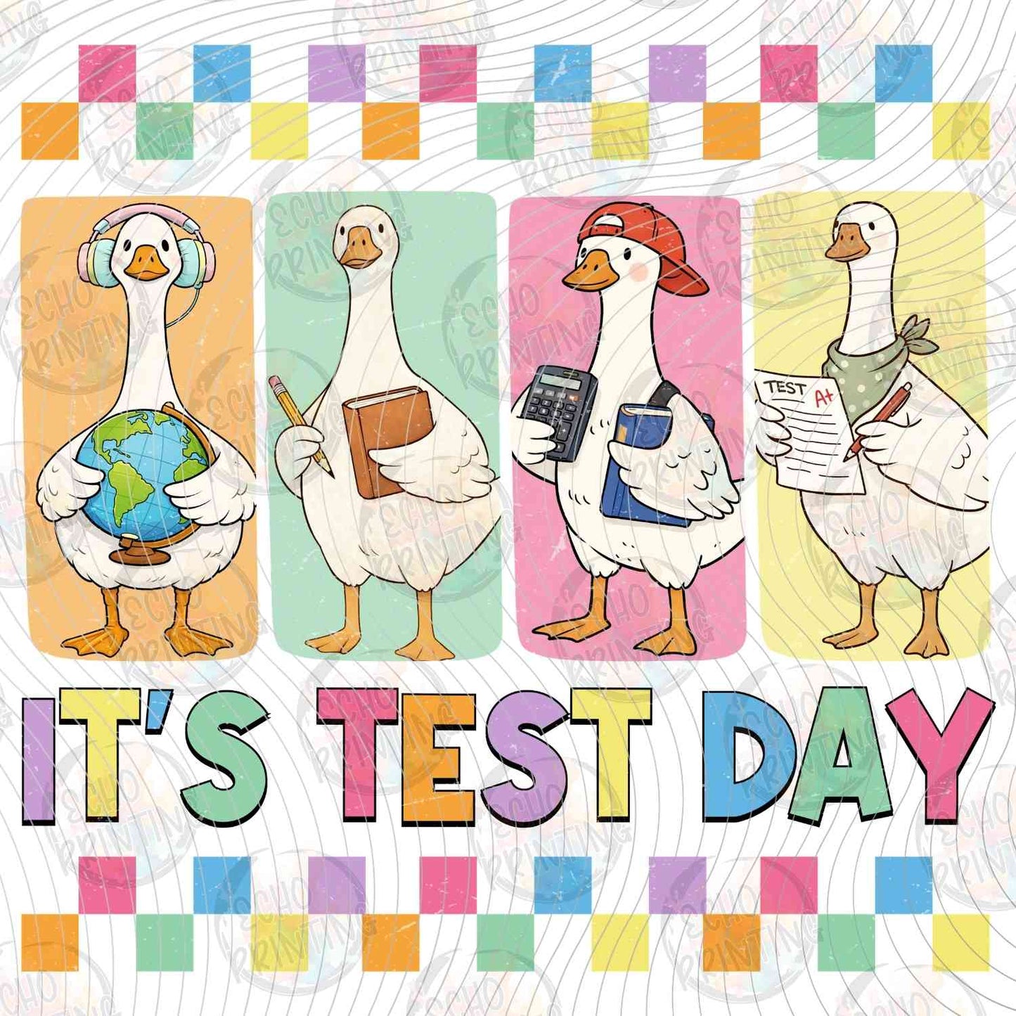 TSDG 9 - ITS TEST DAY GEESE